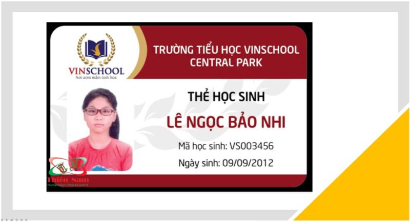 Mẫu thẻ học sinh tiểu học