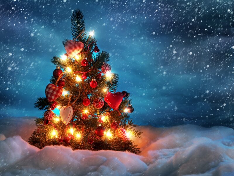 Những hình ảnh cây thông Noel đẹp nhất