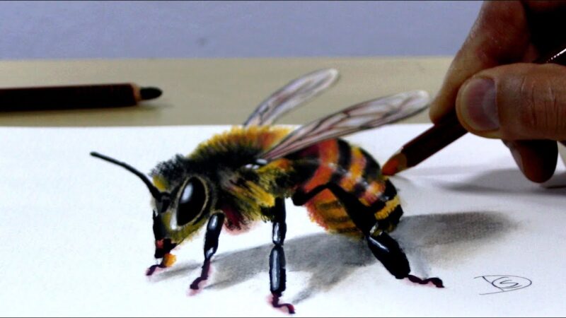 Tranh vẽ đề tài 3D chú ong