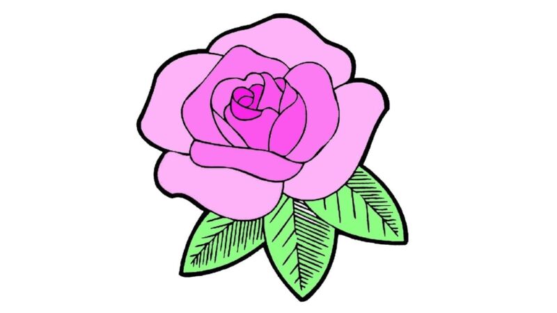 Tranh chủ đề hoa hồng tím