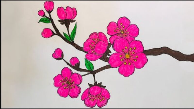 Tranh vẽ hoa đơn giản hoa đào cành tươi thắm