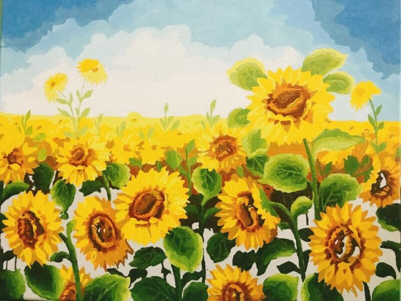 Tranh vẽ hoa đơn giản hoa hướng dương cánh đồng màu nước