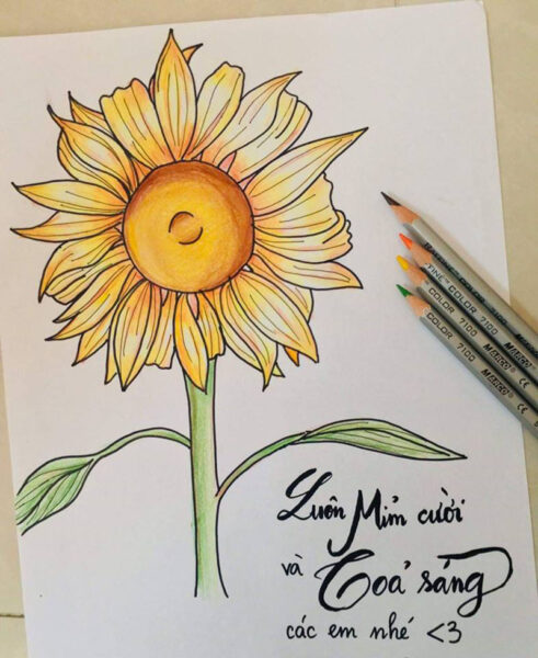 Tranh vẽ hoa đơn giản hoa hướng dương với 4 màu cơ bản