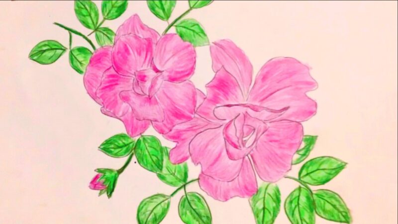 Tranh vẽ hoa đơn giản hoa lá cây hoa hồng