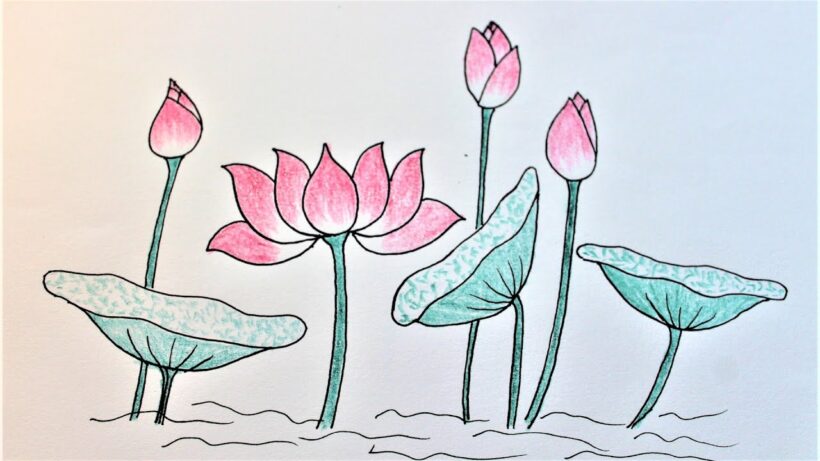 Tranh Vẽ Hoa Đơn Giản Bằng Bút Chì, Sáp Màu Đẹp Nhất
