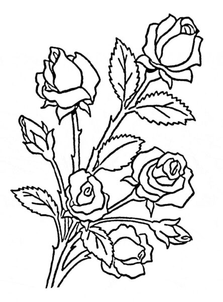 Tranh hoa hồng đen trắng