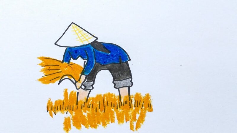 Vẽ người nông dân cắt lúa