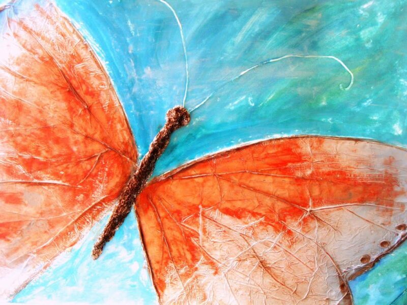 Vẽ tranh 3D cánh bướm màu đỏ