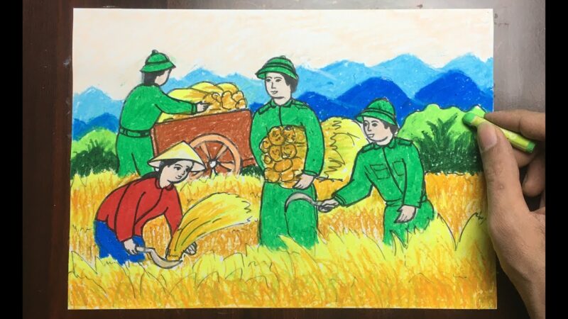 vẽ tranh chủ đề em yêu màu áo xanh cắt lúa hỗ trợ nông dân