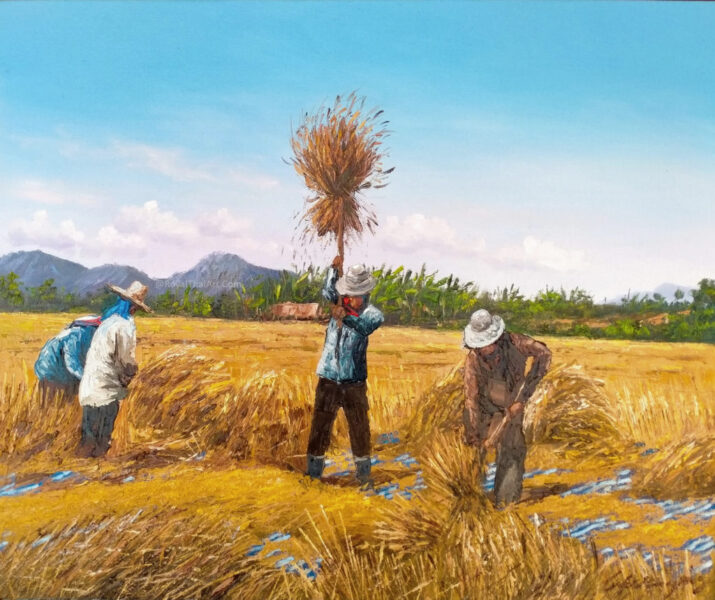 Vẽ tranh đề tài gặt lúa của các bác nông dân