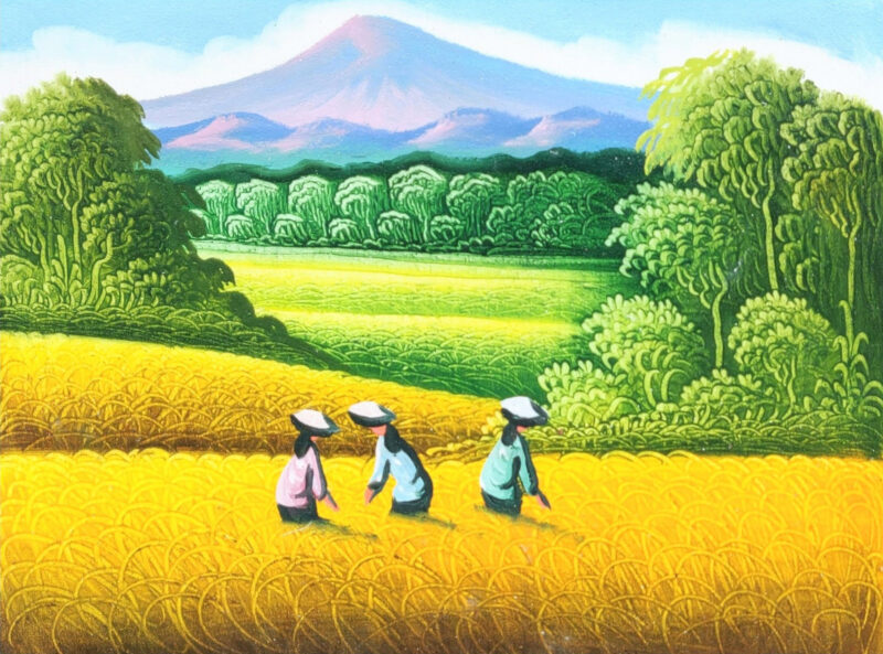 Vẽ tranh gặt lúa của các cô gái
