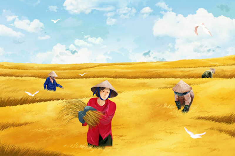 Vẽ tranh gặt lúa của họa sĩ