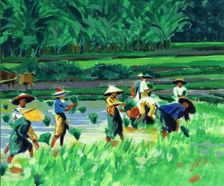 Vẽ tranh gặt lúa của nông dân