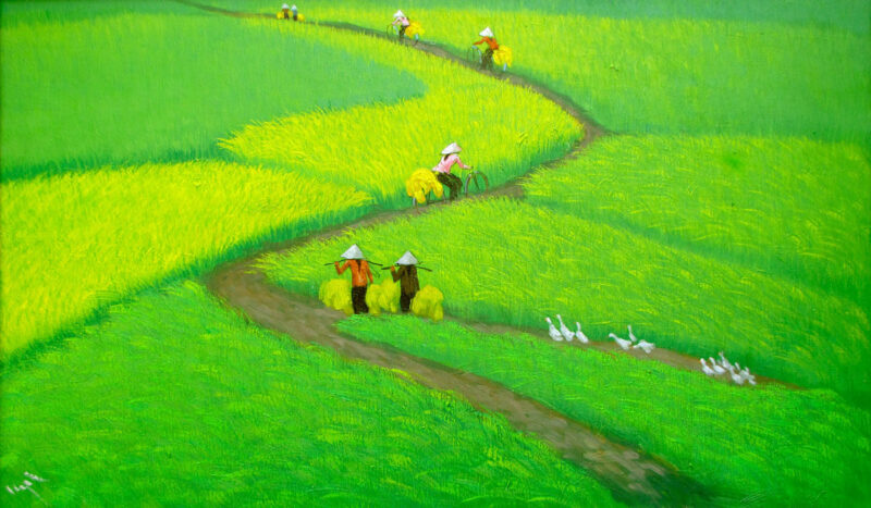 Vẽ tranh gặt lúa đội nón lá