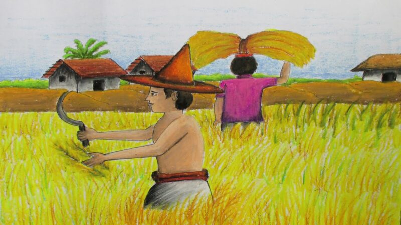 Vẽ tranh gặt lúa ở nông thôn