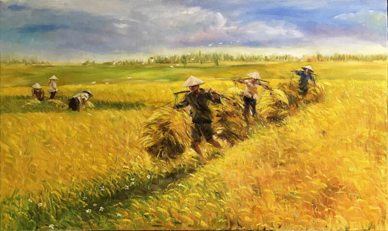 Vẽ tranh gặt lúa và gánh lúa về