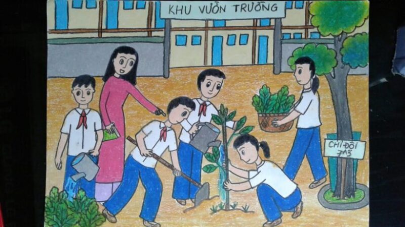 Vẽ bức tranh trường em có cây cối mọc san sát nhau
