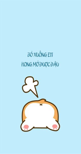 Ảnh bỏ điện thoại tao xuống bựa