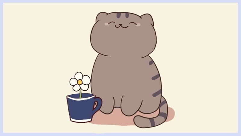 ảnh cute bé mèo béo làm avatar