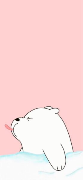 ảnh cute gấu trắng làm hình nền iphone