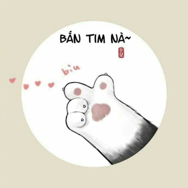 ảnh cute mèo bắn tim