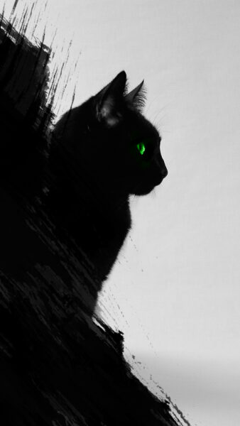 Hình ảnh mèo buồn mắt xanh
