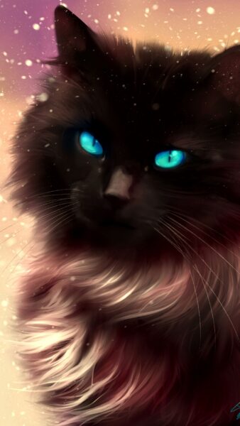 Hình ảnh mèo buồn mắt xanh