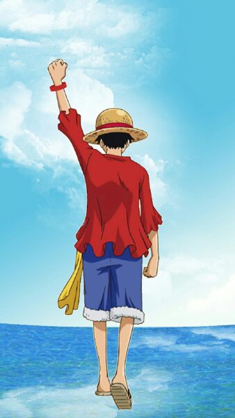 Hình ảnh của Luffy được đăng ở mặt sau