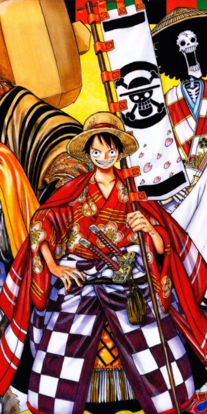 Hình ảnh ngầu của Luffy