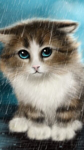 Traurige Katze im Regen