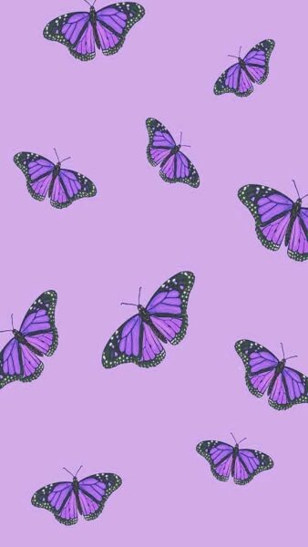 hình nền tím bươm bướm xinh xắn