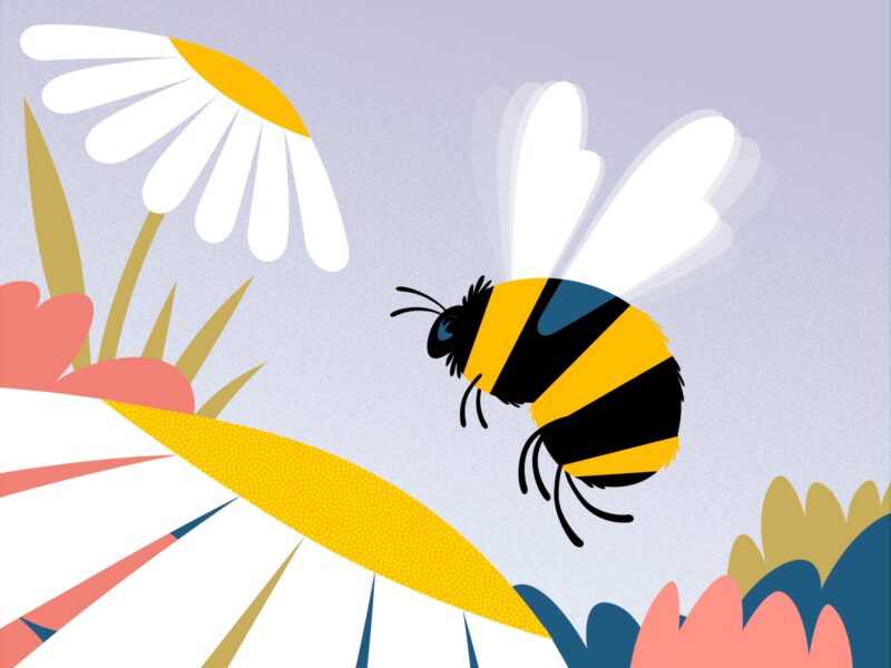 Chia sẻ với hơn 70 về hình nền ong hay nhất  cdgdbentreeduvn