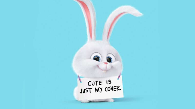 hình nền thỏ trong phim hoạt hình