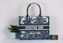 Túi sách Christian Dior