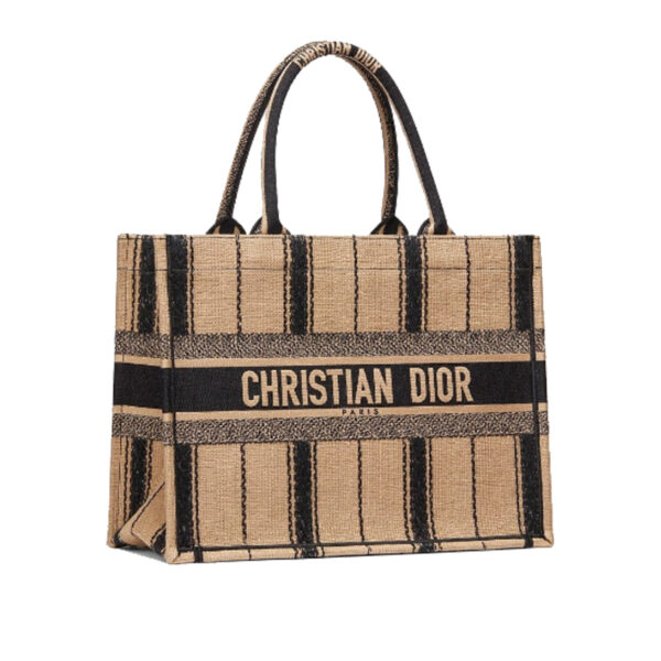 túi christian dior book tote01