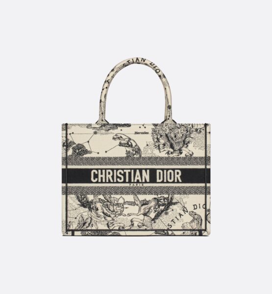 túi christian dior book tote02
