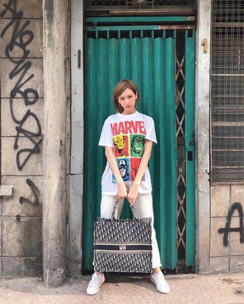 túi christian dior book tote03