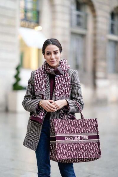 túi christian dior book tote07