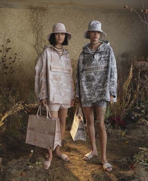 túi christian dior book tote10