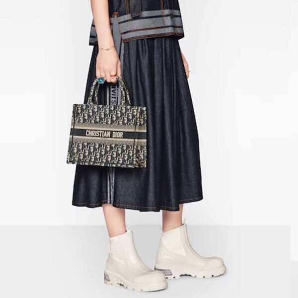 túi christian dior book tote12