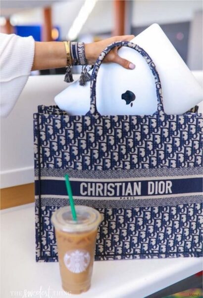 túi christian dior book tote14