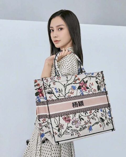 túi christian dior book tote17