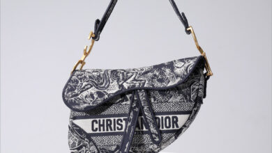 Túi Dior Saddle