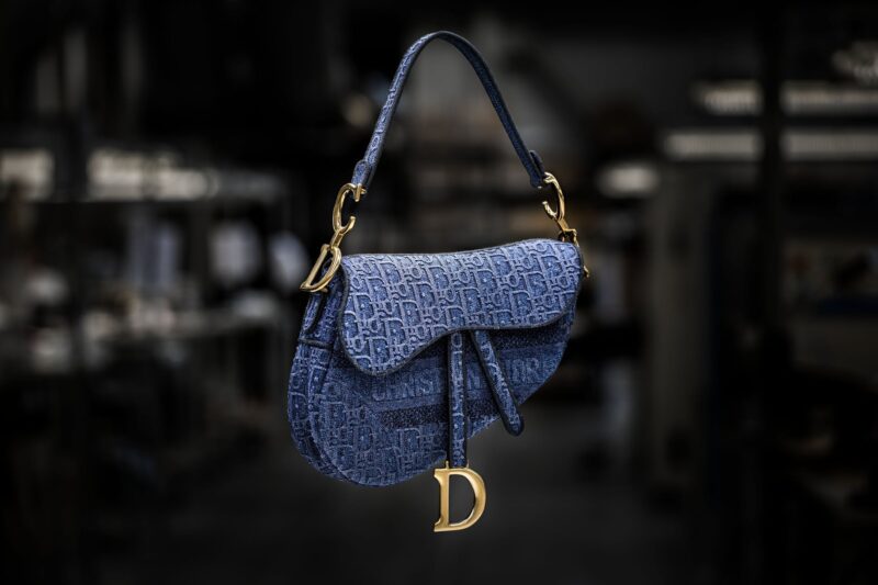 Dior Saddle6 Tasche (1)