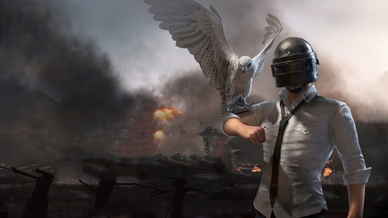 hình nền pubg24