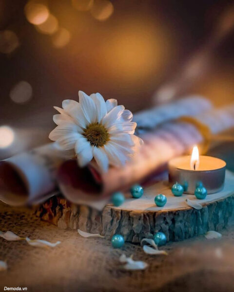 Ảnh buồn đám tang hoa và nến