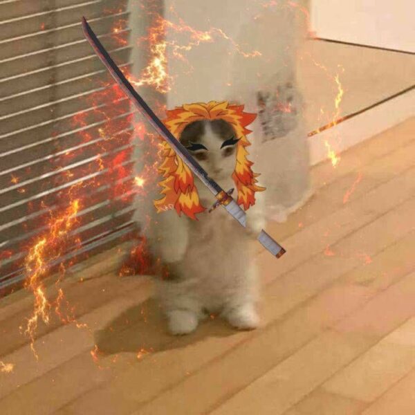 Ảnh mèo cầm phóng lợn đội tóc giả