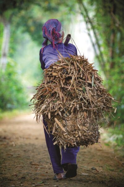 Ảnh về mẹ gánh củi