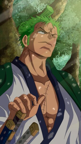Ảnh Zoro ngầu nhất