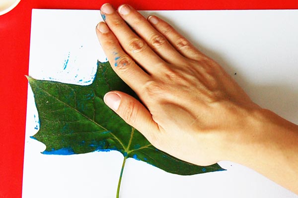 Cách vẽ tranh in hoa lá ẩn chiếc lá vừa tô màu lên mặt giấy
